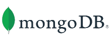 CodeNgine - MongoDB Technology