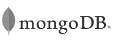 CodeNgine - MongoDB Tech