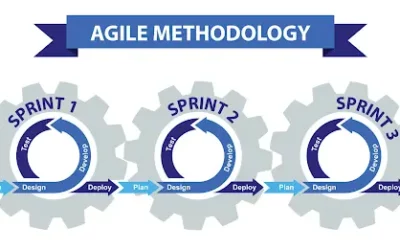 Agile Process